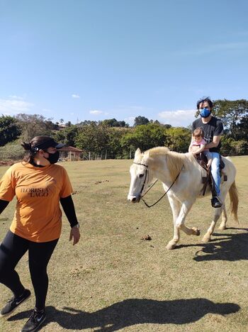 Hotel Fazenda com Passeio a Cavalo em Socorro SP